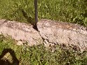SAM_1067 SAM_1067